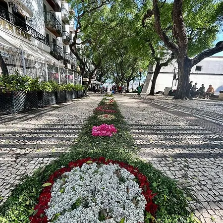 Santa Catarina By Ola Madeira Apartamento *